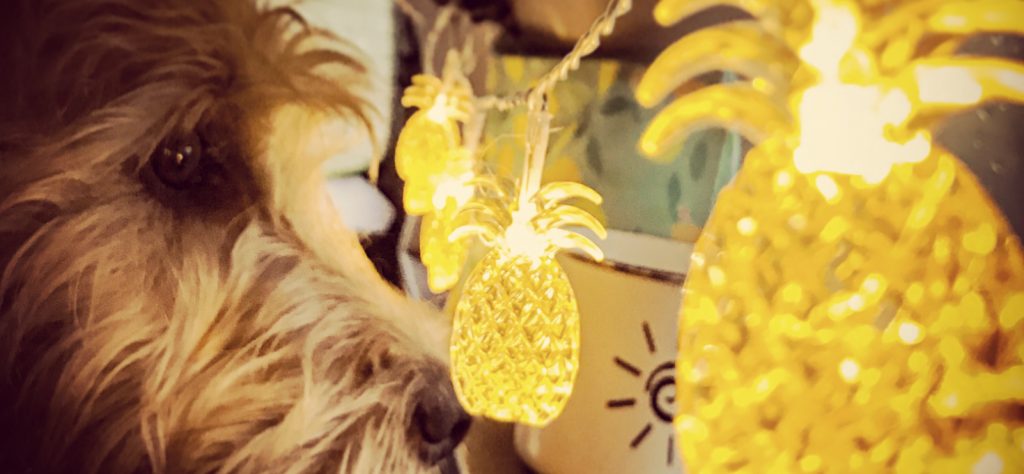 Damien im Auto mit der Ananas-Lichterkette