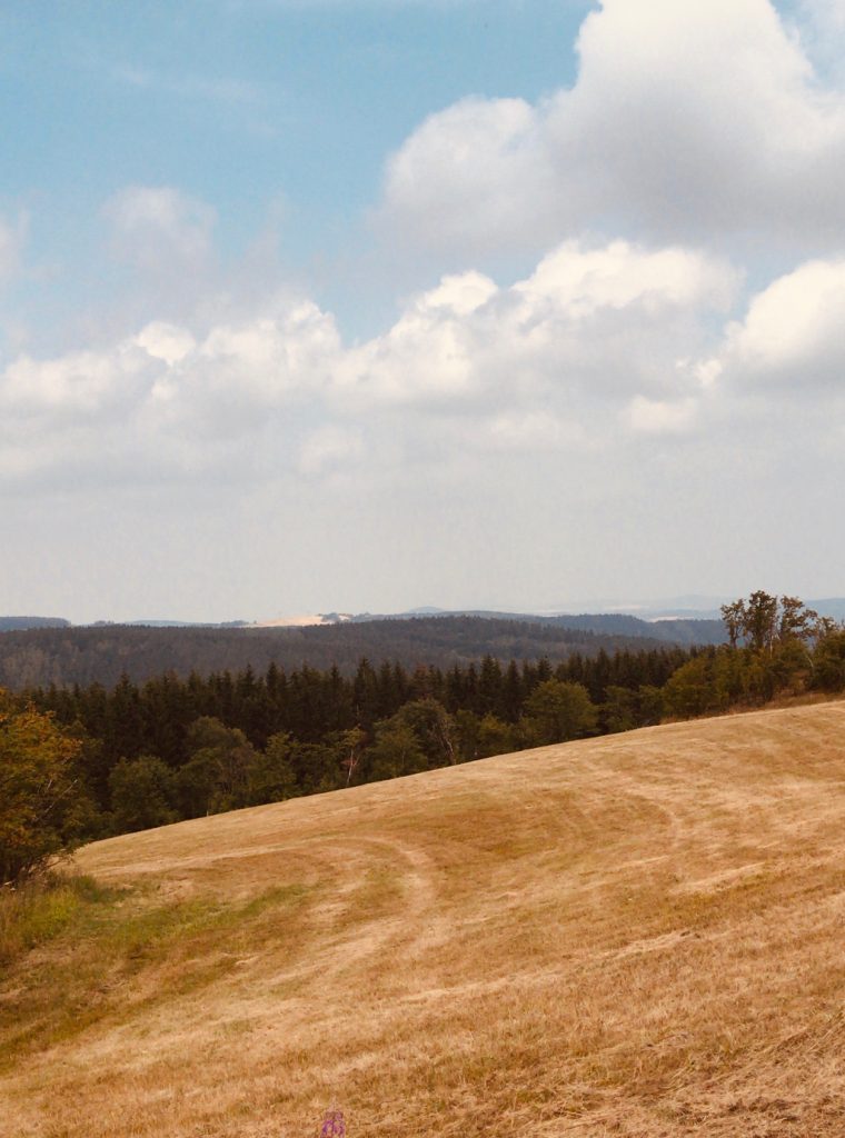 Altenberg im Erzgebirge Blick über das Feld